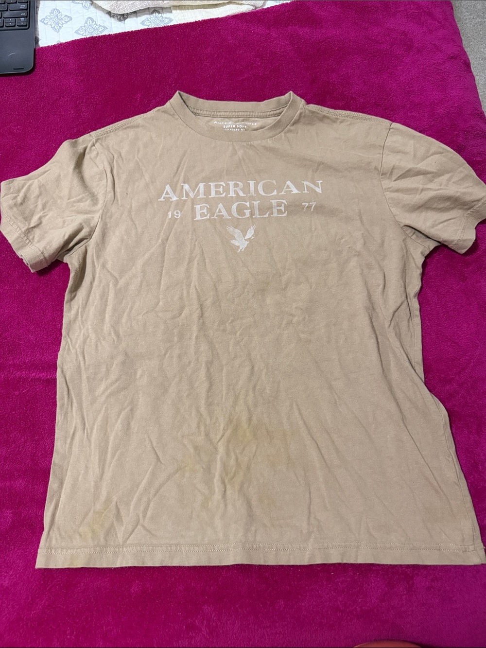 American Eagle Outfitters Tan Graphic Logo Short Sleeve Tee
